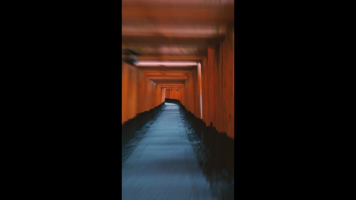 MOVIE 60sec：Vertical ‖ KYOTO & OSAKA IN JAPAN