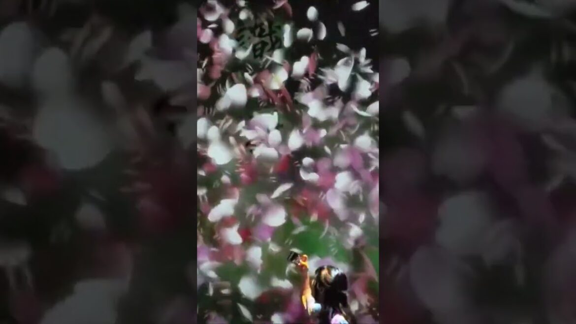 Japan Digital Art  - teamLab Borderless Obaida - DIGITAL ART MUSEUM