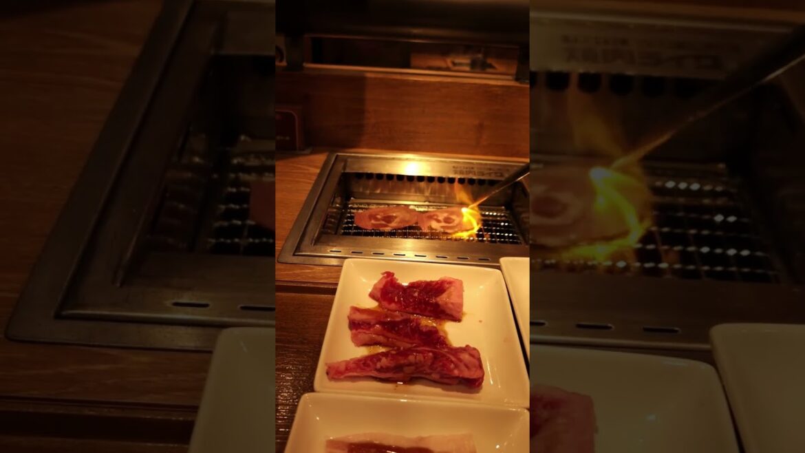 A Japanese restaurant for introverts #shorts #japan #travel #streetfood #koreanbbq A Japanese restaurant for introverts #shorts #japan #travel #streetfood #koreanbbq