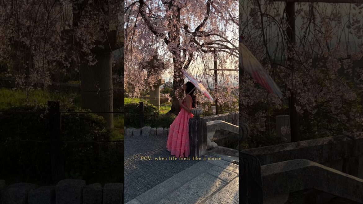 When life feels like a movie✨🌸🎬