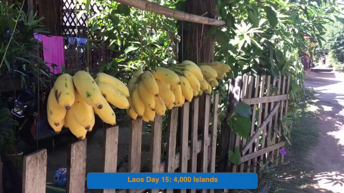Laos in Seconds – Vacation in Laos: Day 15 – Don Det & Don Khon in 4,000 Islands Laos in Seconds - Vacation in Laos: Day 15 - Don Det & Don Khon in 4,000 Islands