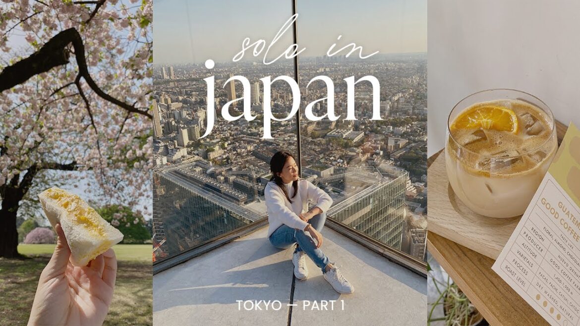 chill solo trip to japan travel vlog tokyo pt. 1 ~ nakameguro, picnic at shinjuku gyoen, shibuya sky chill solo trip to japan travel vlog tokyo pt. 1 ~ nakameguro, picnic at shinjuku gyoen, shibuya sky