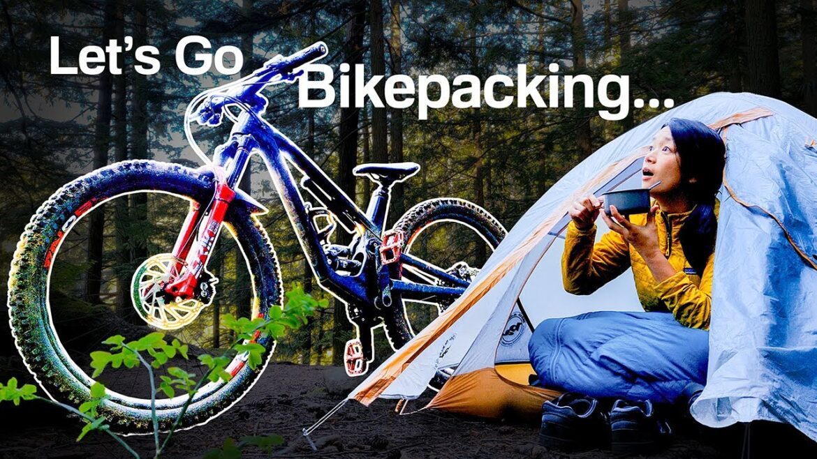 Escape From Quarantine! Escape From Quarantine!