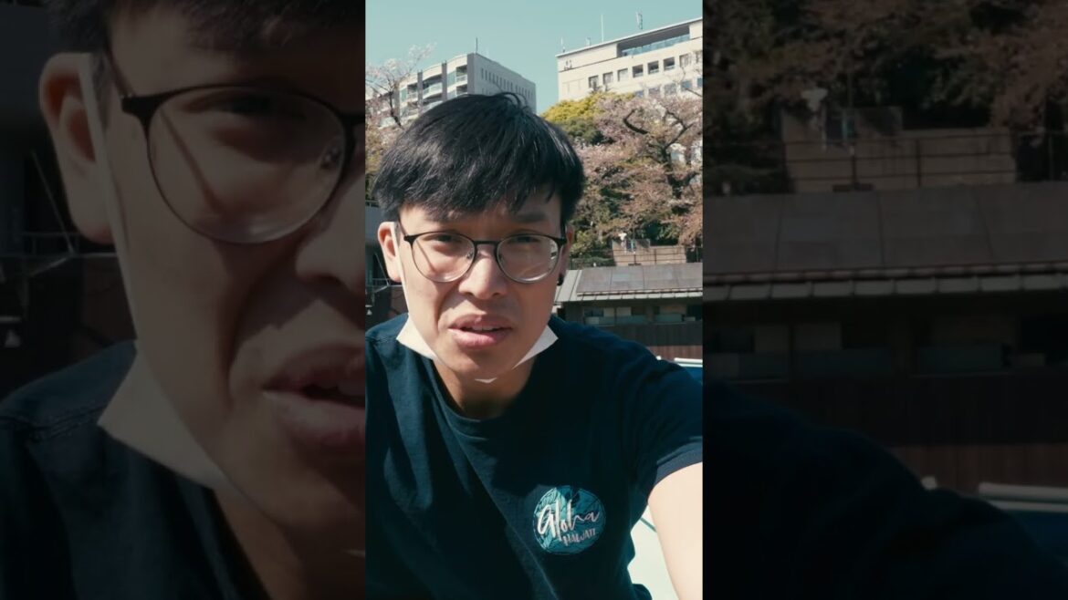 My Favorite Place in Japan to Look at Cherry Blossoms | Japan VLOG Day 5