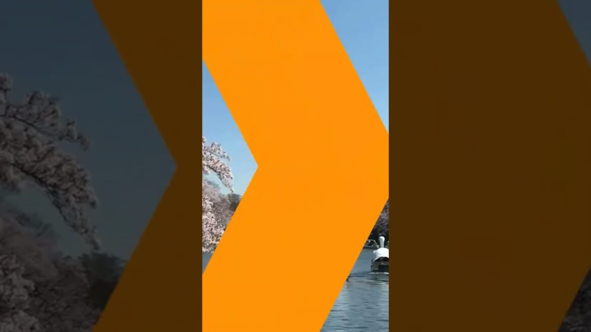 welcome to #tokyo #travel #japan #world #best #top #trip #shorts #short #enjoy #cities #onthego #in welcome to #tokyo #travel #japan #world #best #top #trip #shorts #short #enjoy #cities #onthego #in