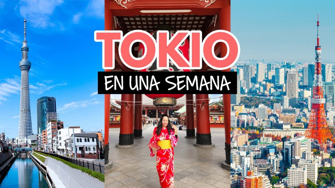 ¿Qué hacer en Tokio en una semana? ¿Qué hacer en Tokio en una semana?