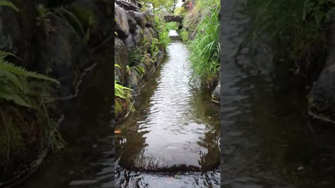 海野宿 #nagano #japantravel #japantrip