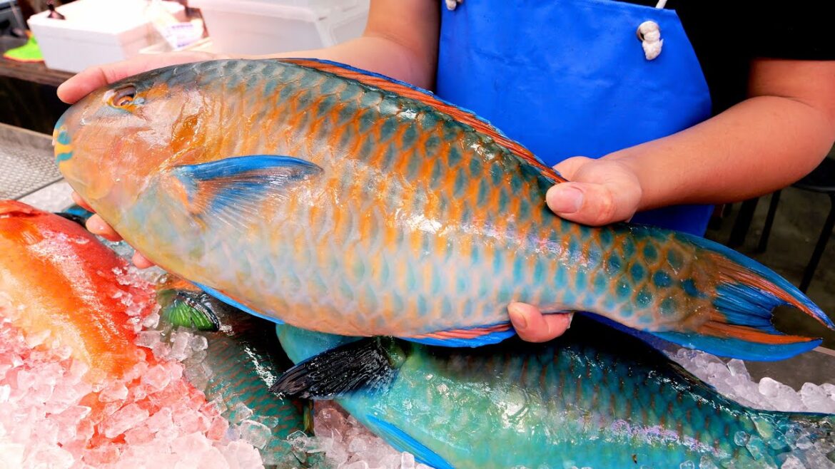 화려합니다! 먹기 너무 예쁜 무지개 비늘돔 회, 볶음, 찜, 탕 / Japanese Parrotfish | Japanese street food