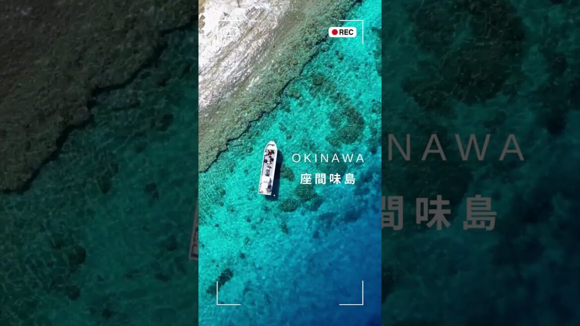 座間味島（慶良間諸島）この島は美しい♡ #沖縄旅行 #海 #自然風景 #shorts