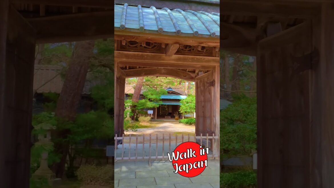 Massive Entrance Gate at Historic Japanese Estate #shorts