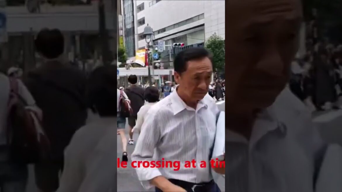 Shibuya Crossing Japan - world's busiest pedestrian crossing,