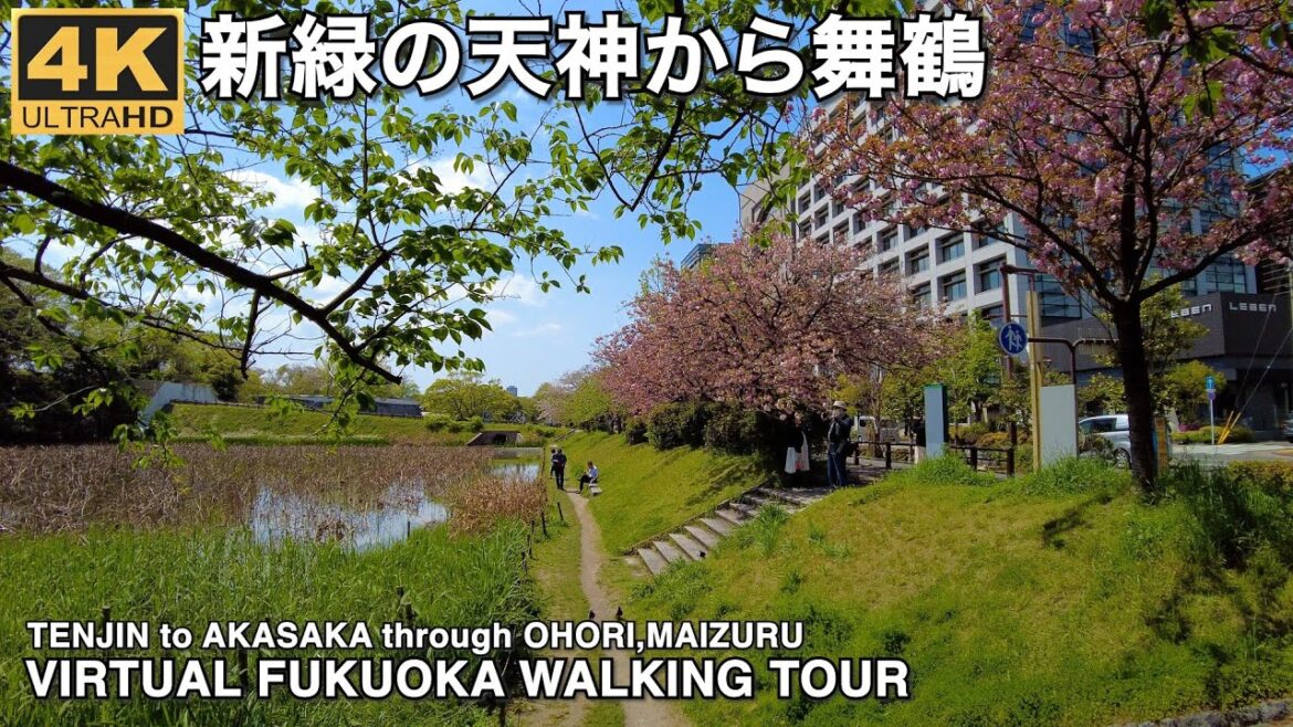 福岡天神から大正通り舞鶴赤坂へ4k virtual Fukuoka around Tenjin Taisho Avenue with beautiful fresh greenery 福岡天神から大正通り舞鶴赤坂へ4k virtual Fukuoka around Tenjin Taisho Avenue with beautiful fresh greenery