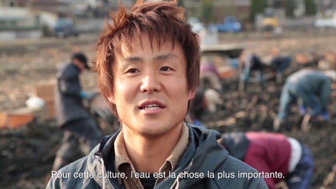 Welcome to  YASASHIKI KURASHIKI