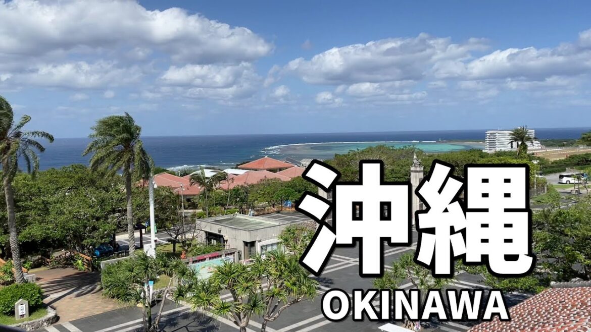 《3泊4日》初めての沖縄を楽しむ! 《3泊4日》初めての沖縄を楽しむ!
