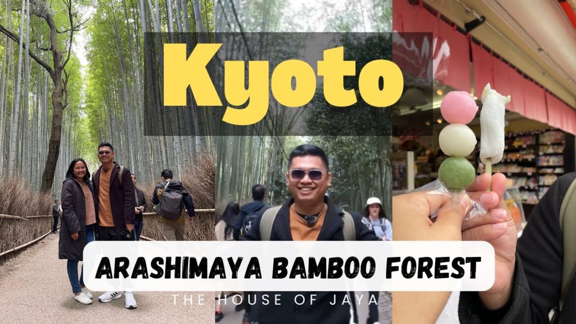Arashimaya Bamboo Forest + Kyoto Street Food 🇯🇵 | JAPAN VLOGS