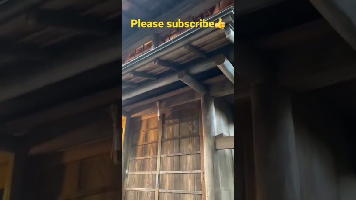 【Kyoto】Machiya cafe in Kyoto #japan #travel #pleasesubscribe #cafe #trip #culture