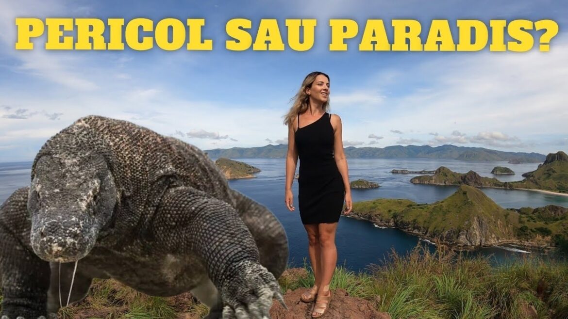 Cum sa SUPRAVIETUIESTI ATACULUI unui Dragon de Komodo | CELE MAI MARI SOPARLE din LUME!