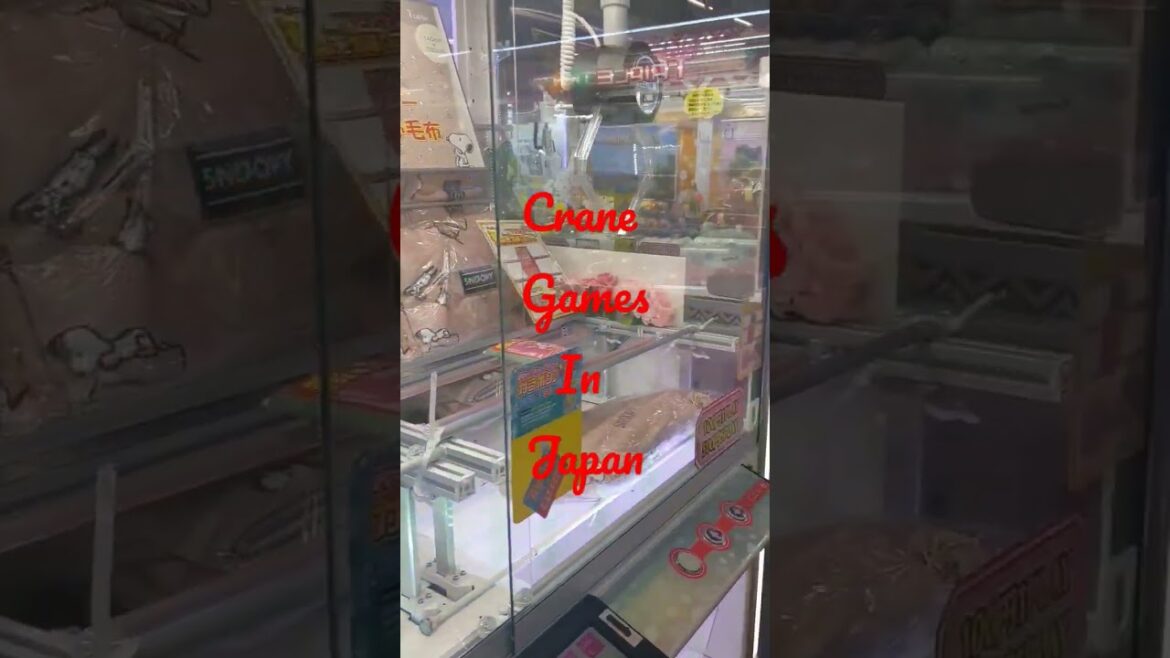 "Crane Games Uncovered: Exploring Japan's Fascinating Arcade Culture" #japan #shorts #fun