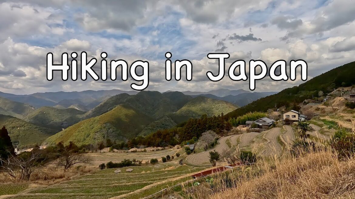 Relaxing Hiking Video to Study/Work/Sleep – Nature Sounds – Kumano Kodo, Japan Relaxing Hiking Video to Study/Work/Sleep - Nature Sounds - Kumano Kodo, Japan