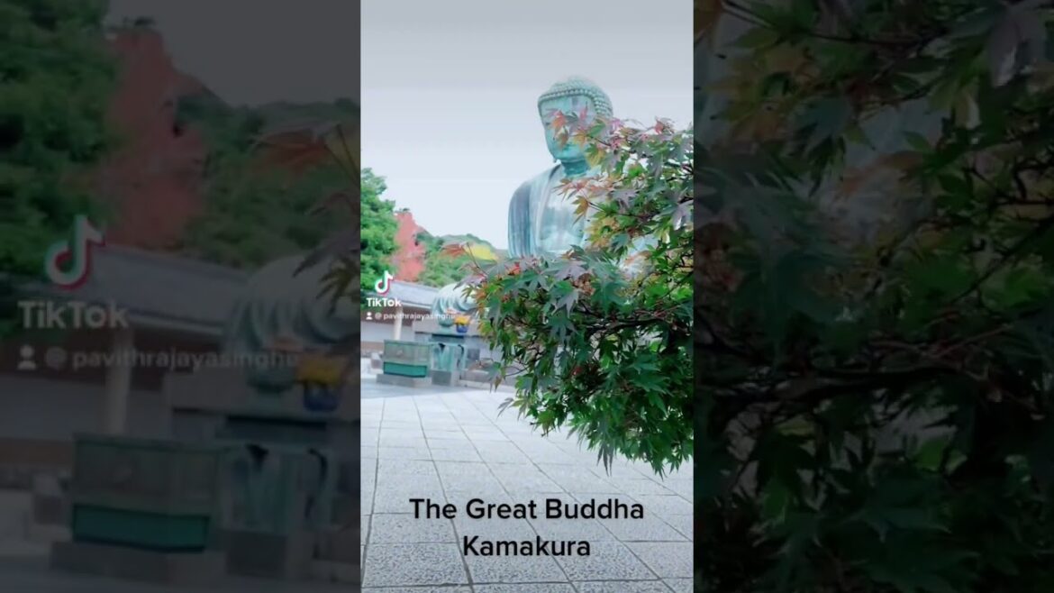 The Great Buddha Kamakura #japan #travel #japantravel #japantravelvlog #kamakura #travelvlog