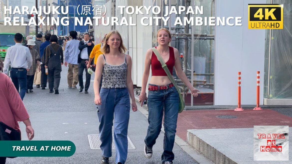4k hdr japan travel | Walk in Harajuku（原宿）Tokyo japan |  Relaxing Natural City ambience