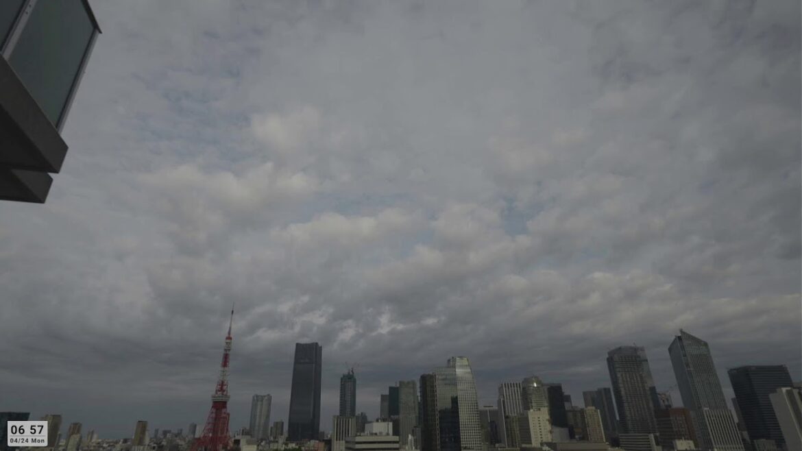 LIVE こと座流星群＠東京上空