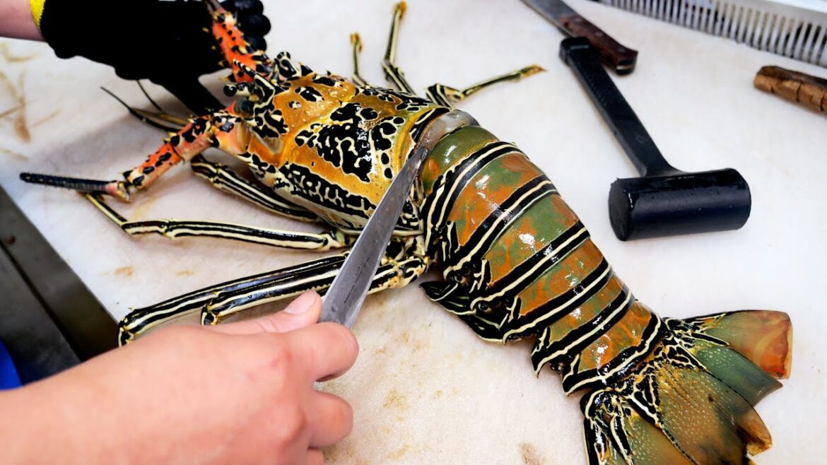 한마리에 60만원! 믿기지 않는 초대형 닭새우 회, 볶음, 구이, 탕 / Japanese spiny lobster | Japanese street food 한마리에 60만원! 믿기지 않는 초대형 닭새우 회, 볶음, 구이, 탕 / Japanese spiny lobster | Japanese street food