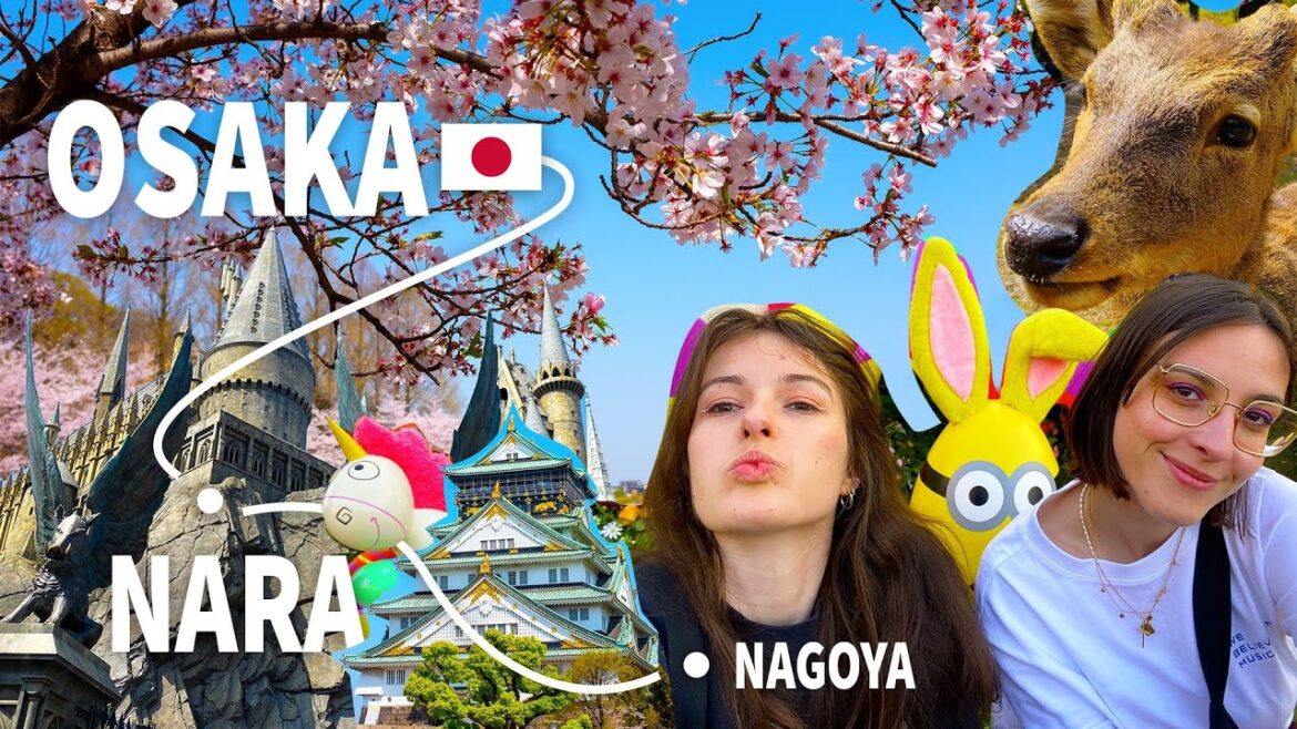 POUDLARD & CERISIERS EN FLEURS 🌸🍣 | roadtrip part2