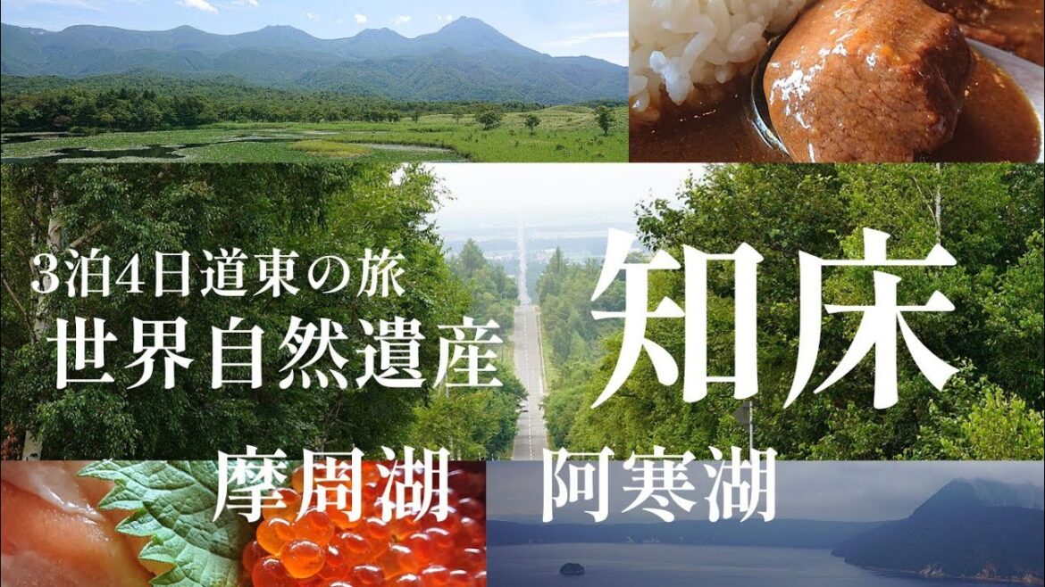 【3泊4日道東旅2】知床と摩周湖の雄大な景色に感動!阿寒湖に夜は宿泊しました 【3泊4日道東旅2】知床と摩周湖の雄大な景色に感動!阿寒湖に夜は宿泊しました