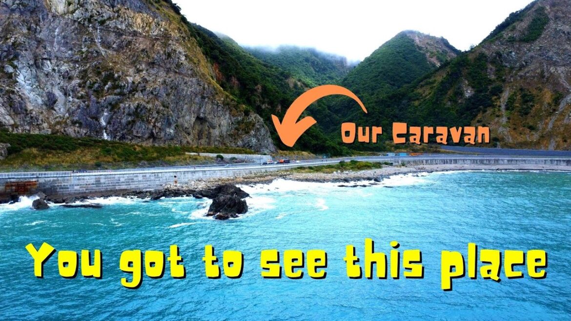 Kaikoura a dramatic, wild, paradise. | Dolphins | Seals | Mountains