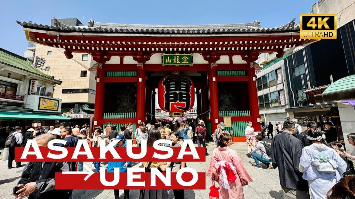 [4K] ASAKUSA→UENO in Tokyo 💛 Nonstop Walking Tour / 浅草から上野 散歩