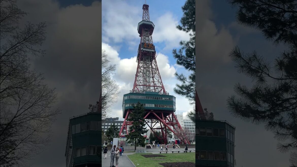 Sapporo Kürtös #short #shorts