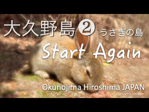 Ōkunoshima❷ Start Againうさぎの島 大久野島 Rabbit Island Hiroshima JAPAN Ōkunoshima❷ Start Againうさぎの島 大久野島 Rabbit Island Hiroshima JAPAN