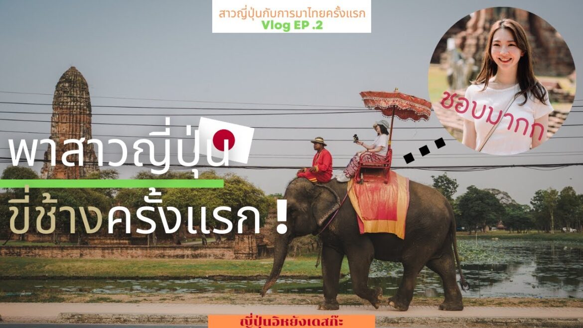 สาวญี่ปุ่นได้ลองขี่ช้างอยุธยาครั้งแรก ! | พาอดีตไอดอลญี่ปุ่นเที่ยวไทย EP.2【ญี่ปุ่นอิหยังเดสก๊ะ】