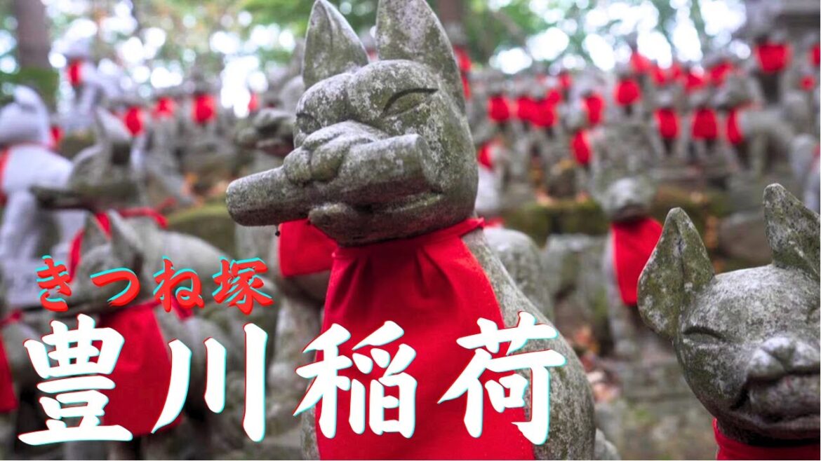 【日本三大稲荷】豊川稲荷のきつね塚　商売繁盛 お稲荷さん　＃豊川稲荷　＃狐　＃豊川市