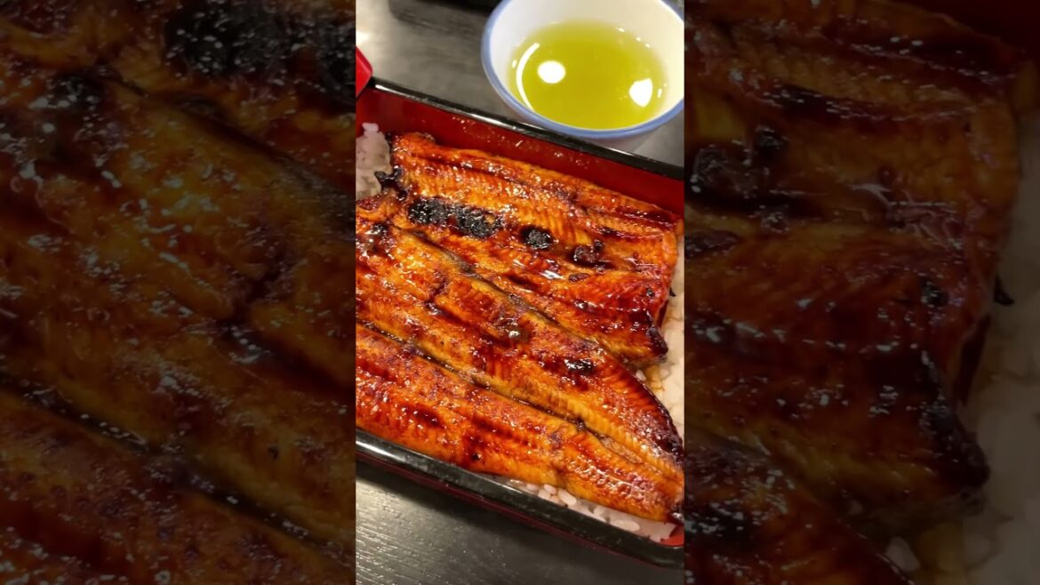 日本自由行《東京&靜岡&浜松&河口湖》精選景點&美食.#日本美食 #日本 #日本觀光 #旅行 #旅行vlog #日本旅行 #河口湖 #富士山 #新倉山浅間公園