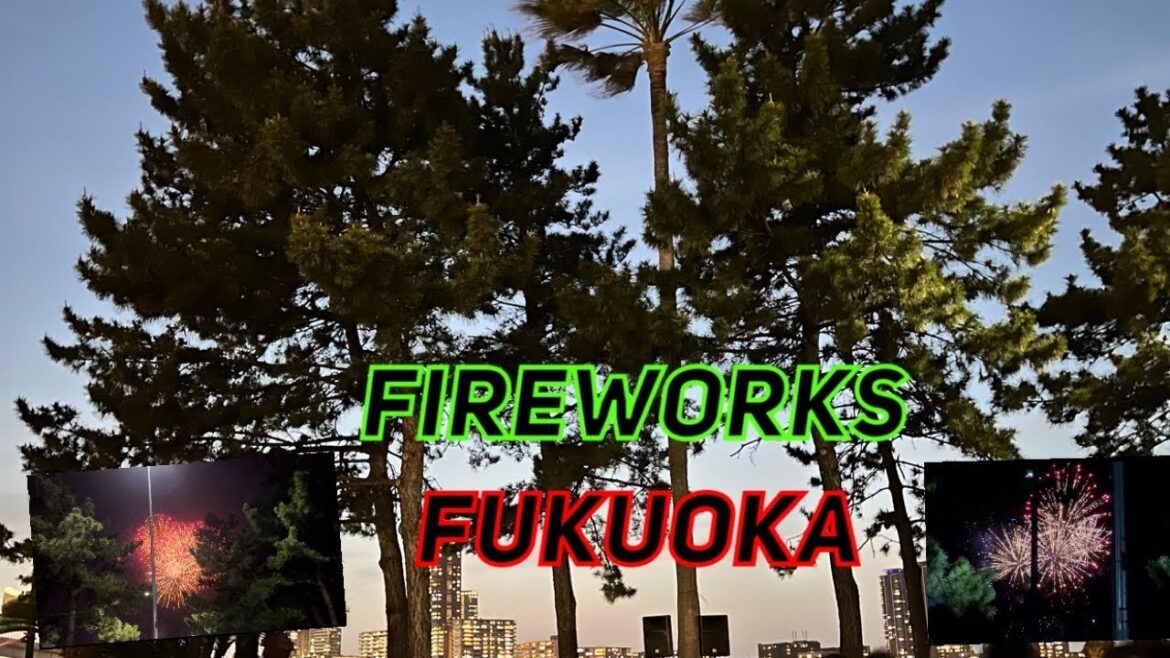Fireworks Fukuoka #promisegopali #fireworks #japan