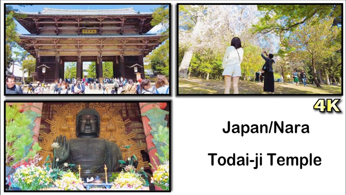 [4K] Travel Diary to "Todaiji Temple" in Nara | Japan📗