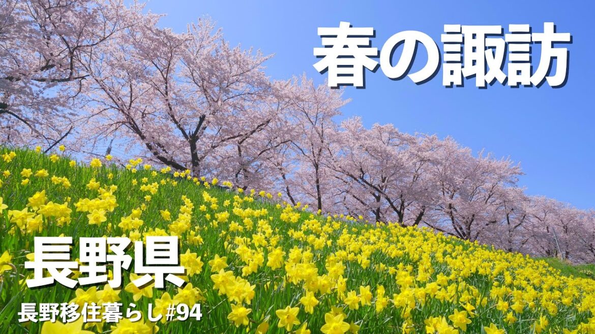 【長野移住】春の諏訪湖周辺ぶらり旅!!｜人気移住先｜諏訪湖｜ドライブ｜田舎暮らし｜長野県｜4K