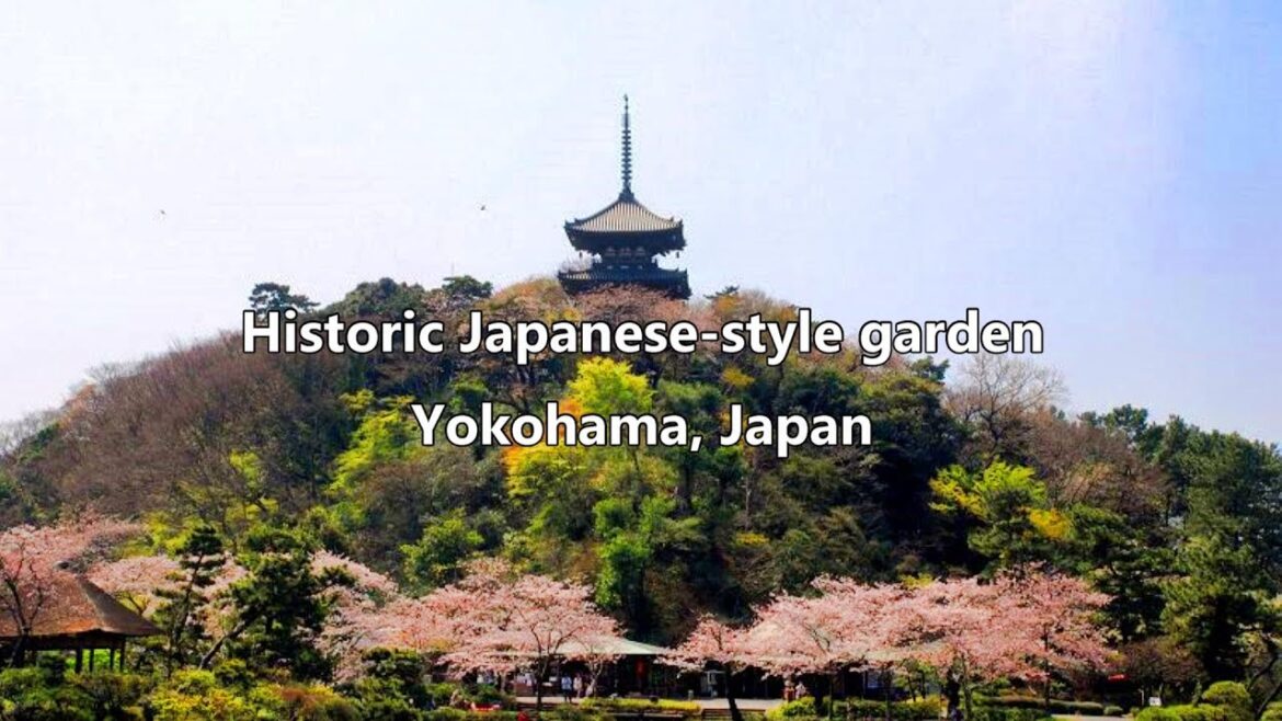 Spring in a Historic Japanese Garden  Yokohama, Japan