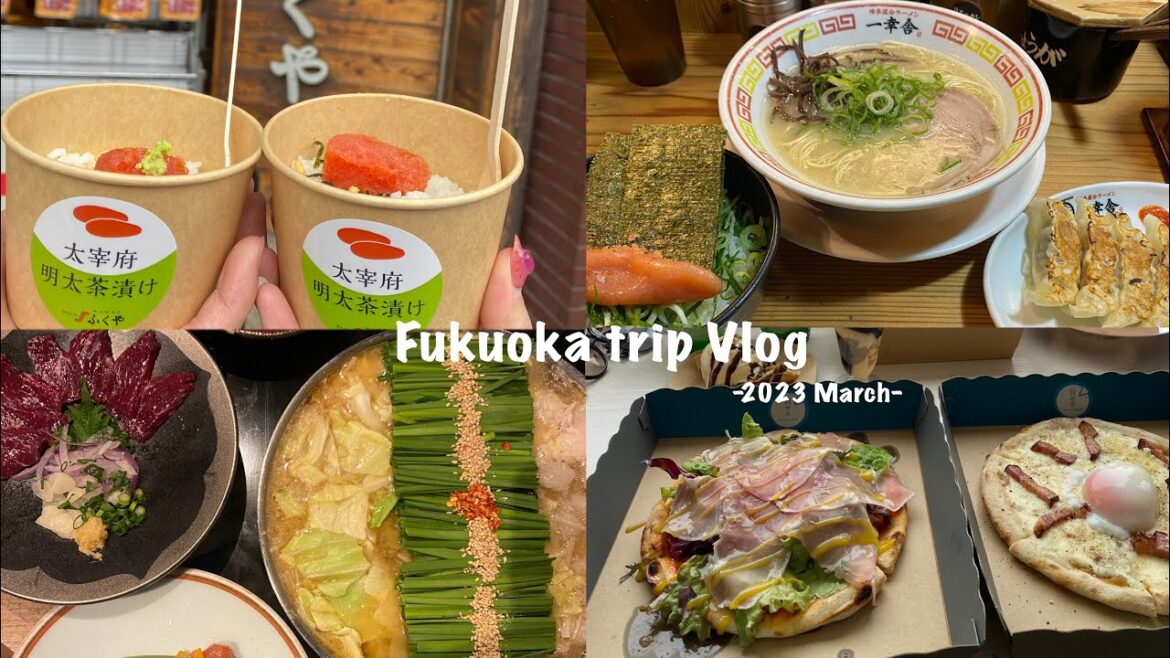 【方向音痴旅】満喫！🍃福岡旅行✈️/天神屋台🏮/糸島🌴/福岡タワー🗼/太宰府天満宮⛩️