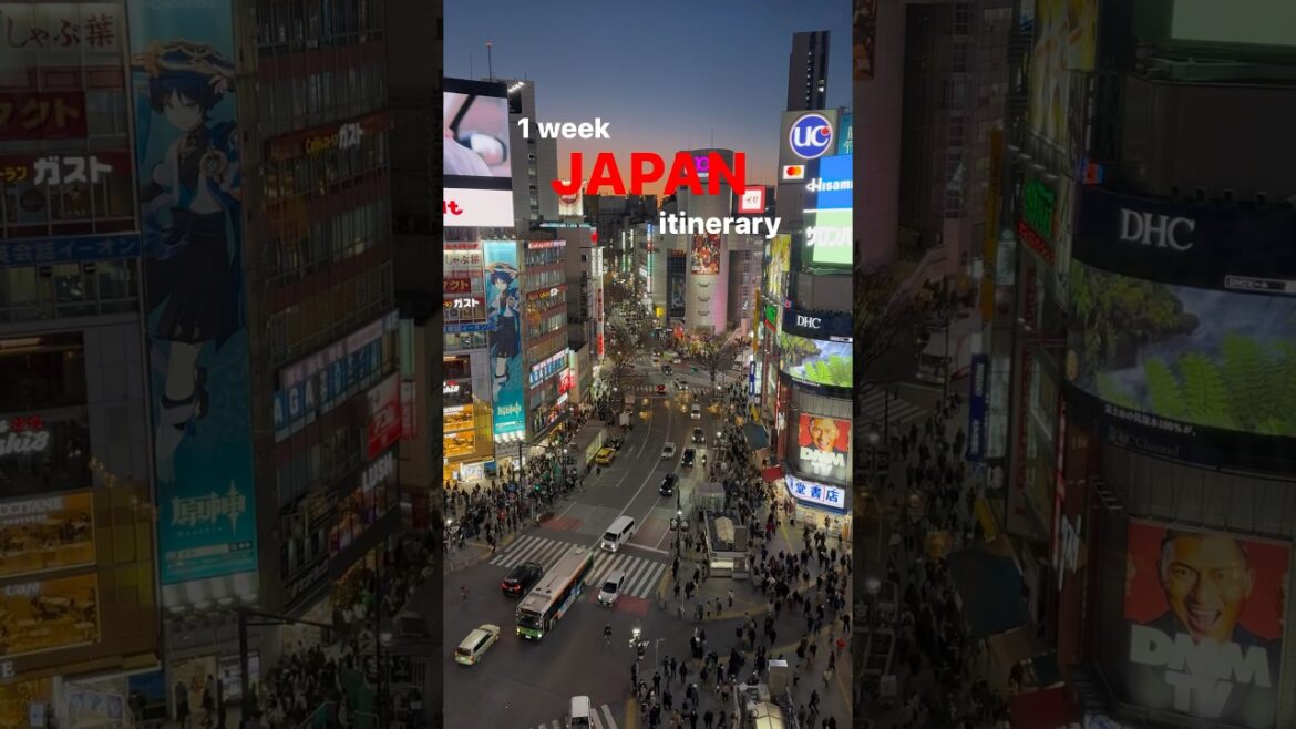 I hope this helps with your Japan trip planning 🙌 #japan #traveljapan #visitjapan