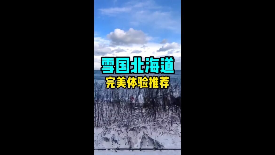 【日本旅遊】坐上千與千尋的海上小火車，到札幌來一碗味增拉麵冬季北海道，愛了！ #神隱少女 #北海道 #日本生活 #日本旅行 #日本旅遊 #日本 #小宇帶你遊日本