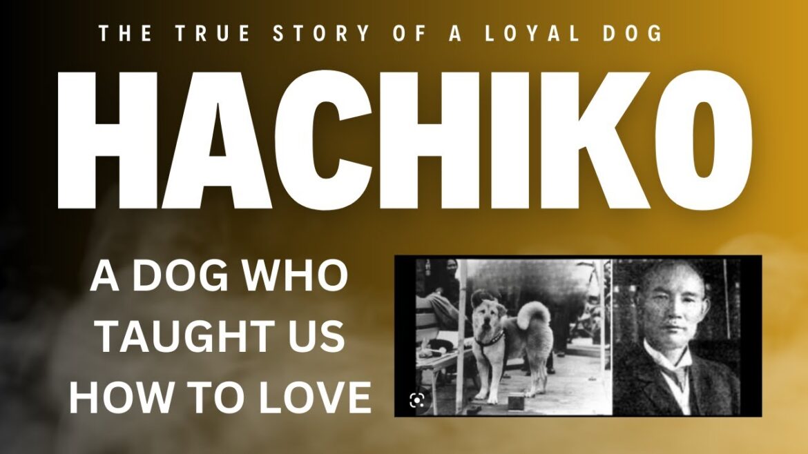 HACHIKO| The True Story of a Loyal Dog| English| The Search TV