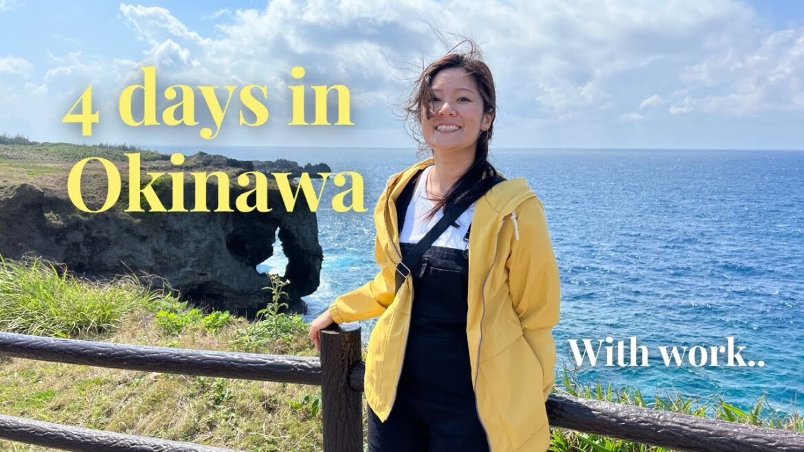 Okinawa vlog l things to do in 4 days, a work trip, everything I ate Okinawa vlog l things to do in 4 days, a work trip, everything I ate