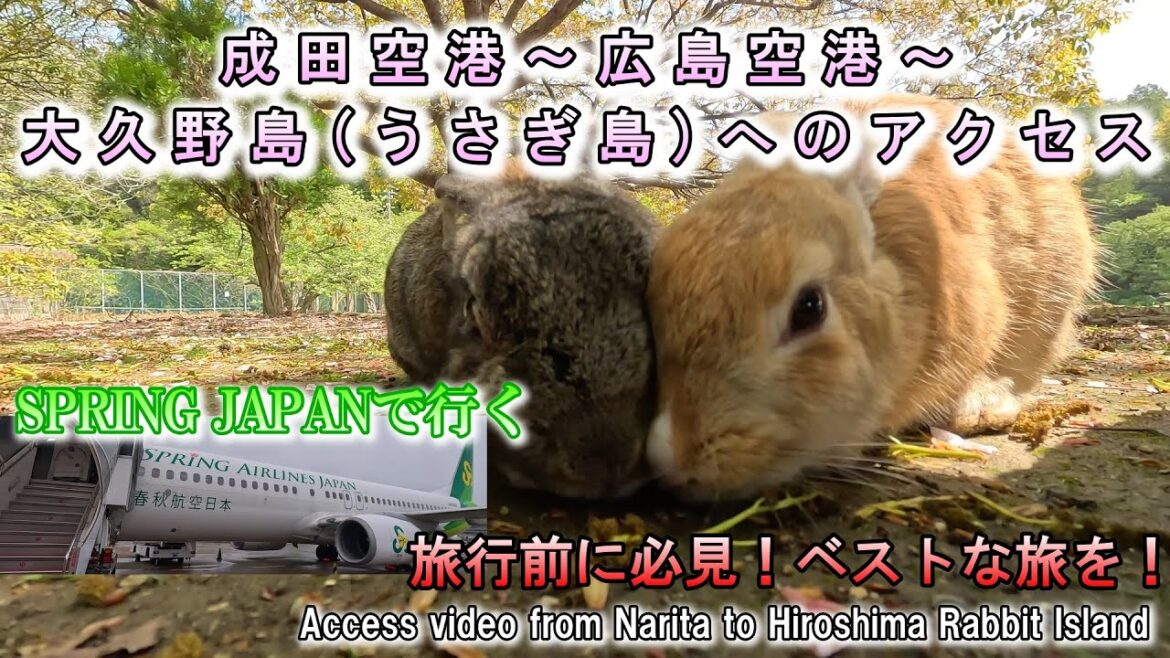 広島県大久野島【うさぎ島】へのアクセス方法を動画にしました。旅行予定の方はぜひ参考に！