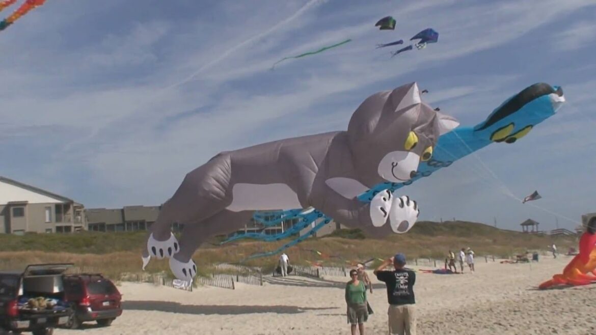 North Carolina Kite Festival 2009, Atlantic Beach, NC