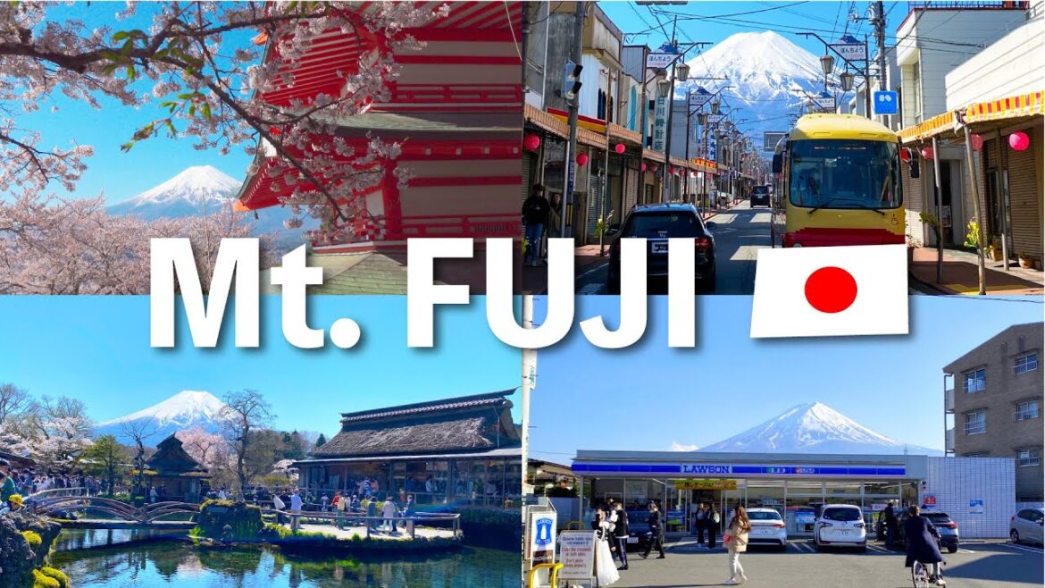 【絶景】【富士山】【満開の桜】外国人観光客にも大人気、富士山ビュースポットを巡る日帰り旅行/富士山の屋根を持つコンビニ/富士山ビュー特急、富士回遊、フジサン特急に遭遇!/ 【絶景】【富士山】【満開の桜】外国人観光客にも大人気、富士山ビュースポットを巡る日帰り旅行/富士山の屋根を持つコンビニ/富士山ビュー特急、富士回遊、フジサン特急に遭遇!/