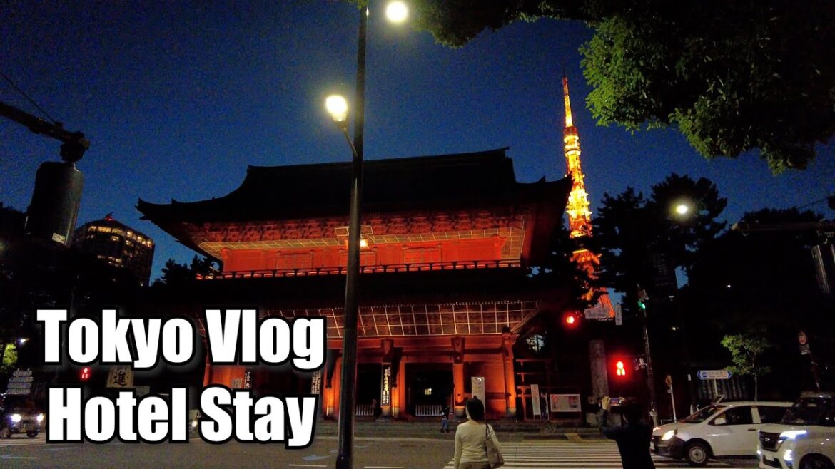 東京のコスパ最強ホテル「京王プレッソイン浜松町」宿泊レビュー！東京タワー、焼肉ライクなど【日韓夫婦Vlog】