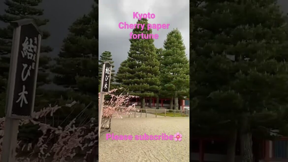 【KYOTO 】Cherry paper fortune #kyoto #shorts #japan #travel #walking #pleasesubscribe #shrine #trip